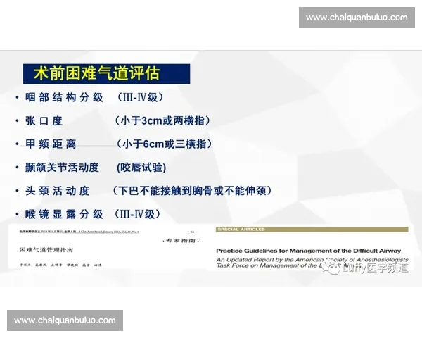 基于篮球助攻数据的分析与应用探讨对球队战术及球员表现的影响
